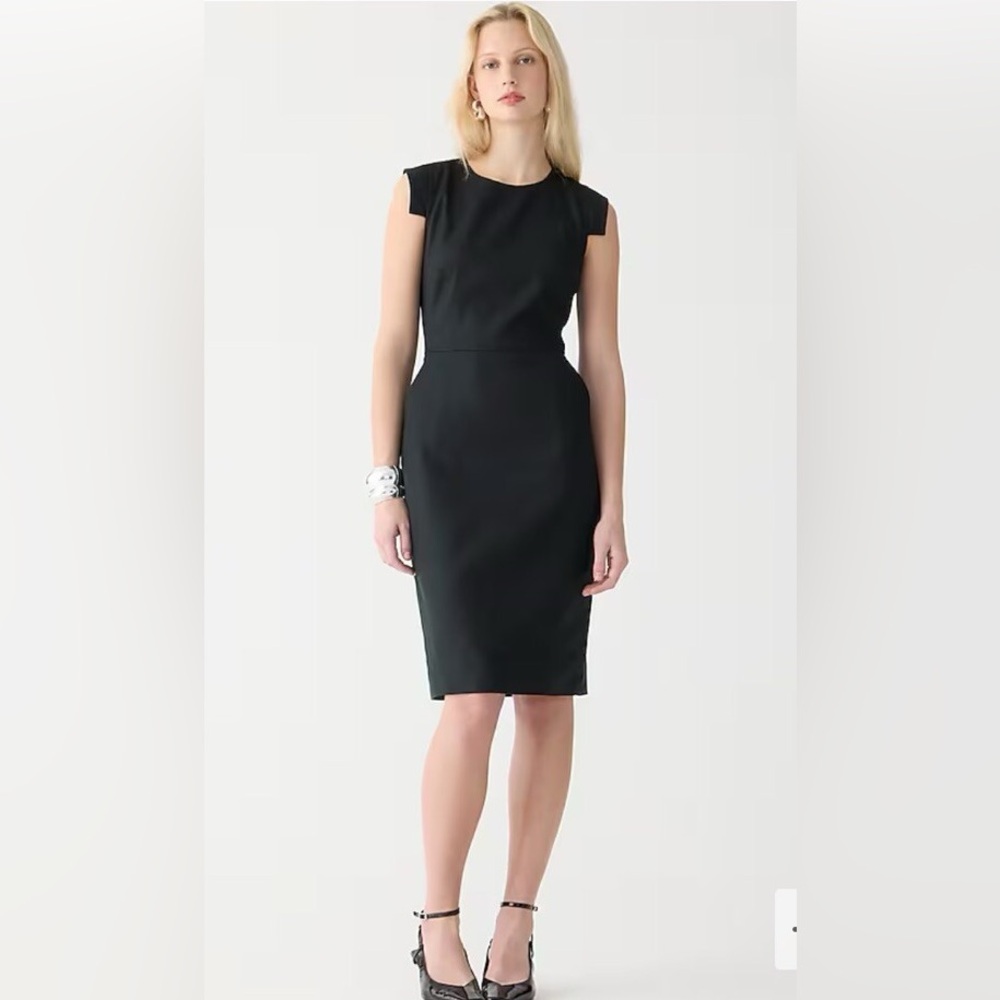 J. Crew NWOT Resume Dress